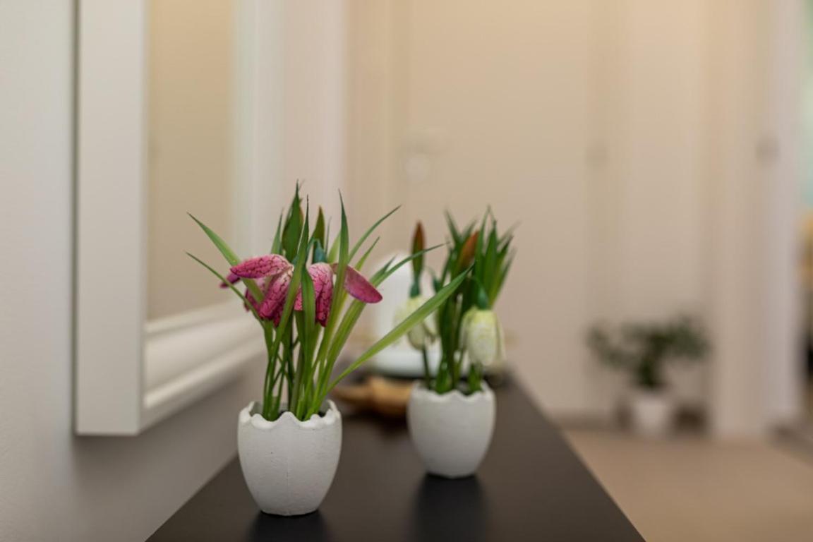 Apartman Grzetic Silo  Ngoại thất bức ảnh